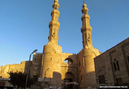 Cairo's Bab Zuweila gate