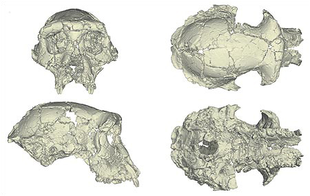 3D reconstruction