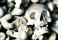 Skulls of the victims