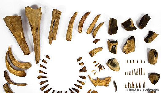 Janislavice culture stone and bone tools