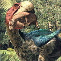 Gastornis kills an early horse