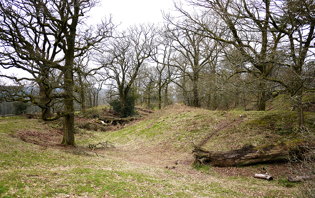 Castle Neroche in Somerset