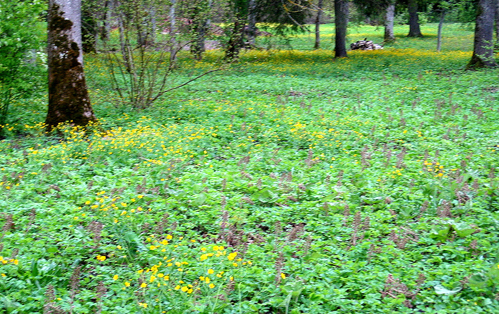Kiltsi Manor in Lääne-Virumaa, Estonia
