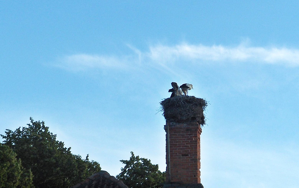 Palmse Manor, Lääne-Virumaa, Estonia