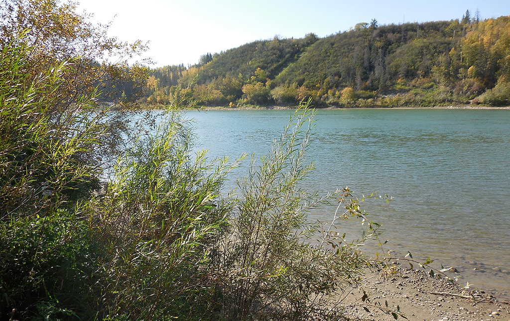 Edmonton's river valley, by P L Kessler