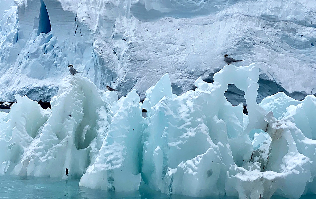 Graham Land in Antarctica, by John De Cleene and Clare De Cleene