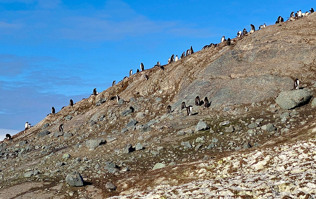 Graham Land in Antarctica, by John De Cleene and Clare De Cleene