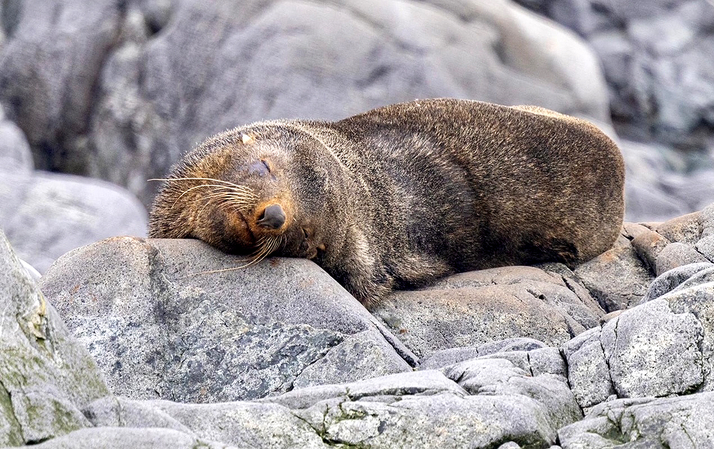 Graham Land in Antarctica, by John De Cleene and Clare De Cleene
