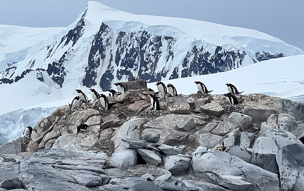 Graham Land in Antarctica, by John De Cleene and Clare De Cleene
