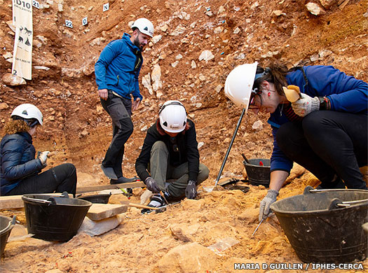 Homo antecessor archaeology
