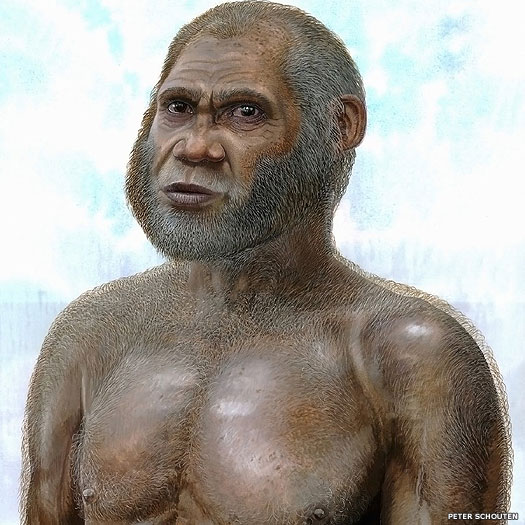 An artist's rendition of a Red Deer Cave person