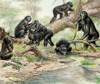 Griphopithecus