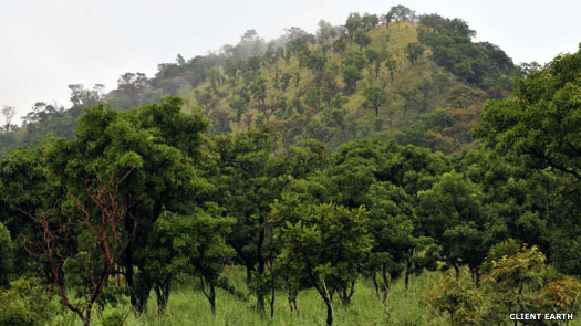 Ghana forests