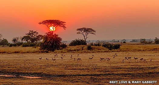 Zambia's Kafue National Park