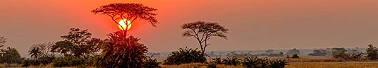 Kafue National Park in Zambia, by Bret Love and Mary Gabbett