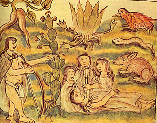 Chichimecs in the Florentine Codex