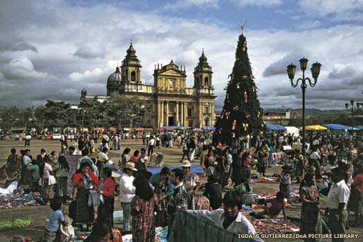 Guatemala Cathedral