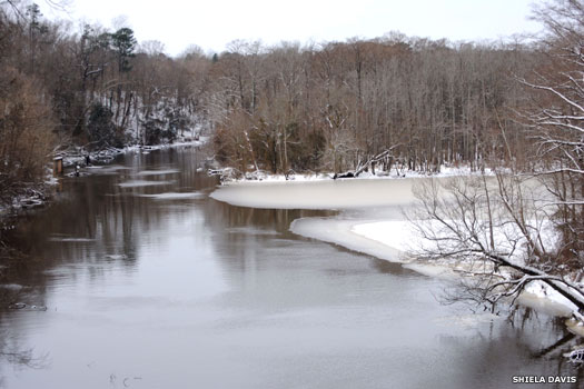 Meherrin River at Murfreesboro NC