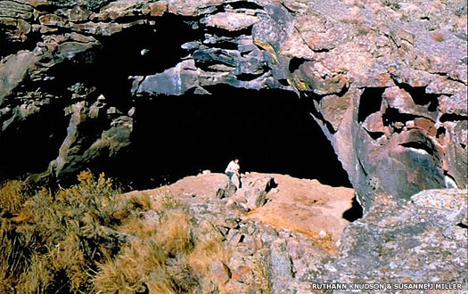 Wasden Owl Cave site, eastern Idaho