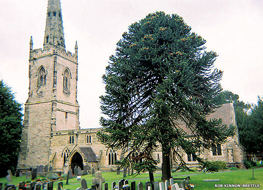 St Peter's Church, Witherley, Leicestershire
