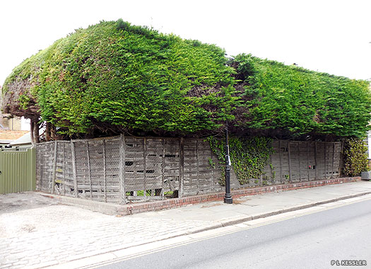 Sandwich (Second) Wesleyan Methodist Chapel, Sandwich, Kent