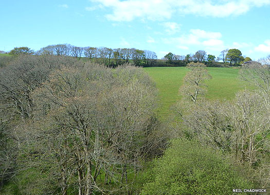 St Anne's Old Chapel, Hessenford, Cornwall