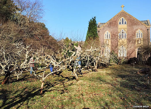 Sclerder Abbey, Sclerder, Cornwall