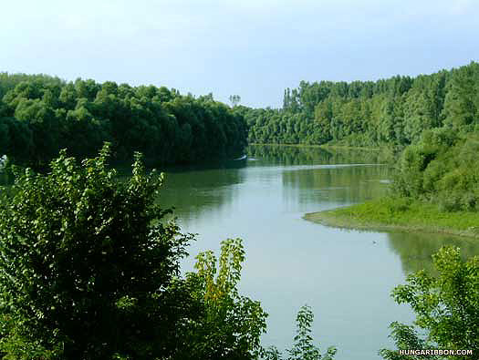 River Tisia