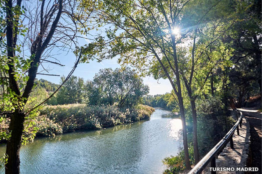 The River Henares, close to Madrid
