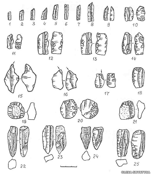 Anetivka stone tools