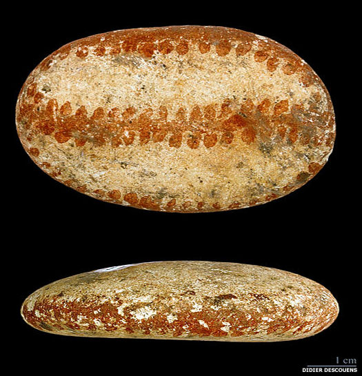 Azilian culture pebbles