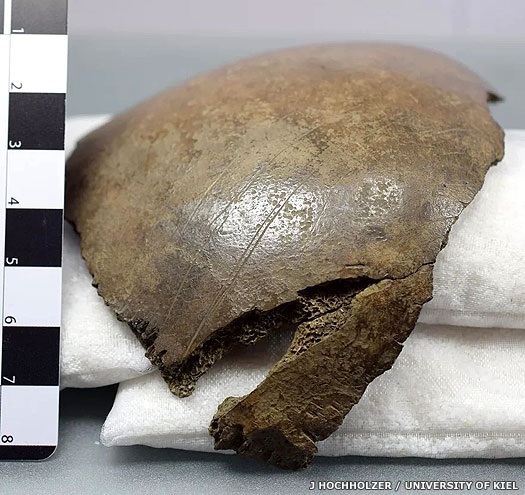 Cut-Marked Human Bones in Denmark of the Erteb&oslash;lle culture