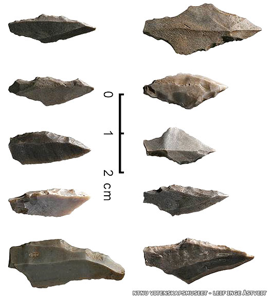 Fosna-Hensbacka tools