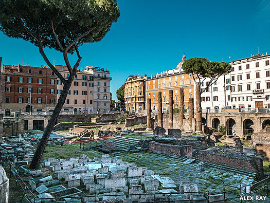 Largo di Torre Argentina: site of Caesar's assassination