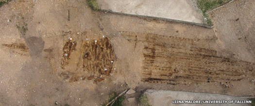 Viking remains found on Saaremaa