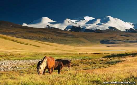 Mongolian steppe