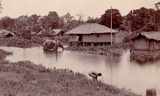 Traditional Assamese dwellings
