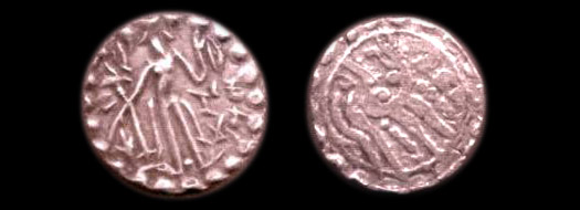 Rajabhata coins