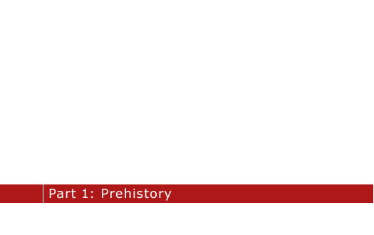 A Brief History of India