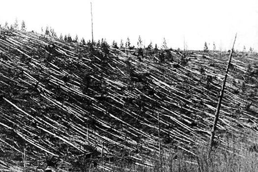 The Tunguska event aftermath, photographed in 1928