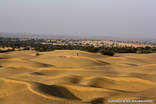 That Desert
