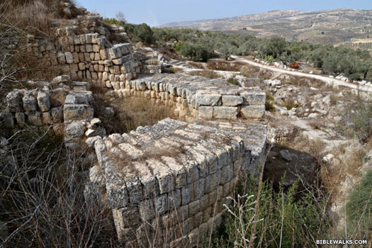 Hellenistic Samaria