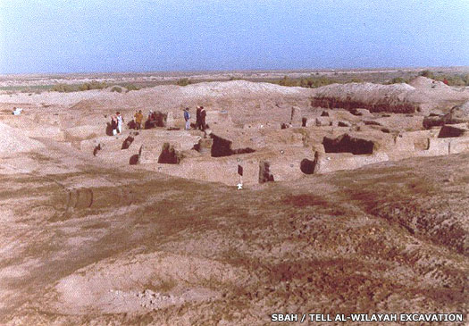 The archaeological site of Tell al-Wilayah
