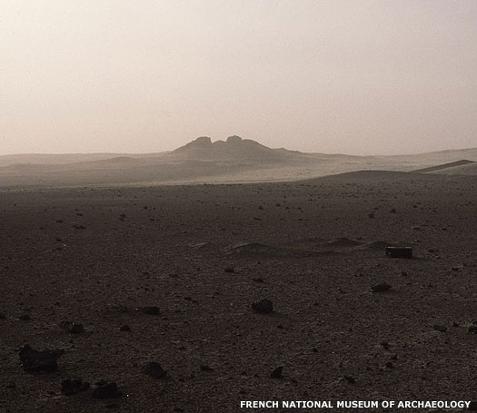 Tell es-Senkereh is one of the largest archaeological sites in Iraq