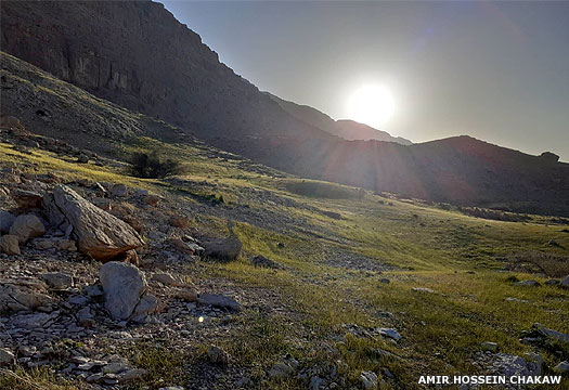 Dehloran in Khuzistan province, Iran