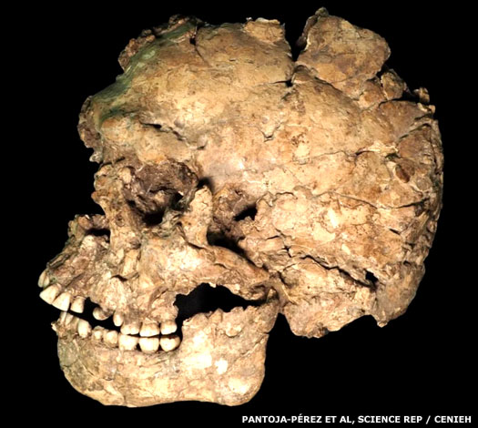 The Qafzeh fossil of 145,000-90,000 BC, found in Israel
