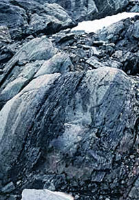 Rocks from Isua, Greenland