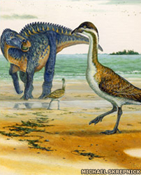 Sketch of a possible Cretaceous period bird