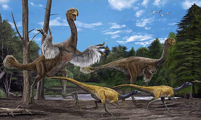 Artist's impression of Gigantoraptor bird dinosaurs