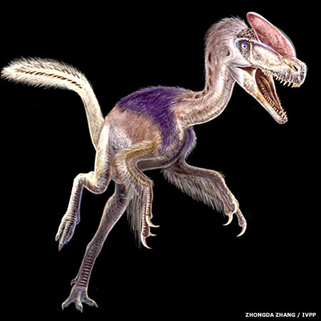 Oldest Tyrannosaurus rex relative